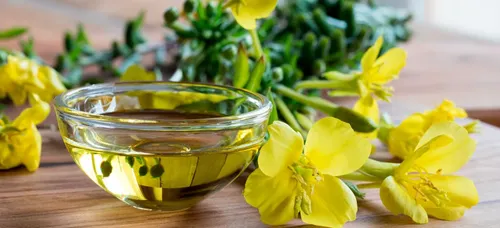 Evening Primrose Oil