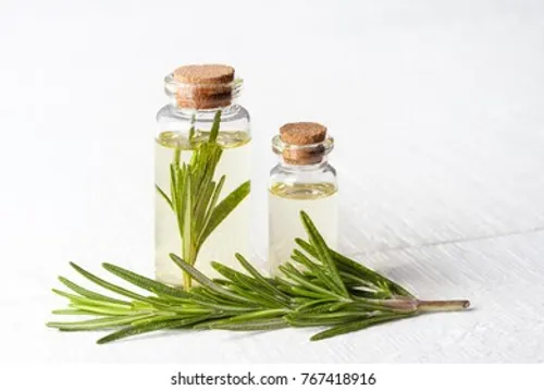 Rosemary Extract