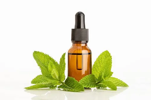 Peppermint Essential Oil